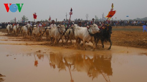 Vietnam Cultural Heritage Week spreads national cultural values - ảnh 3